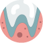 dentista zaragoza